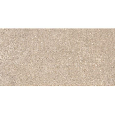 ÉCHANTILLON Terravito Orvico Taupe carreau mural - 30x60cm - 10mm - rectifié - aspect pierre naturelle - taupe mat