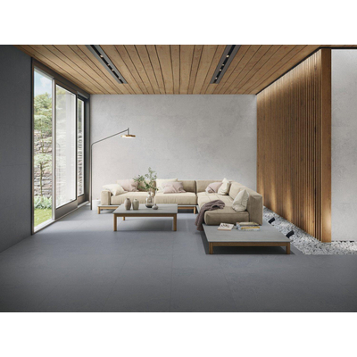 Terravito Allora wand- en vloertegel - 60x60cm - gerectificeerd - Betonlook - Pearl mat (grijs)