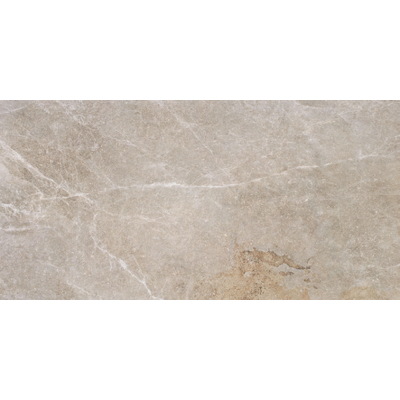 ÉCHANTILLON Terravito Hozino carreau mural et de sol - 59,5x120cm - 10mm - rectifié - gris