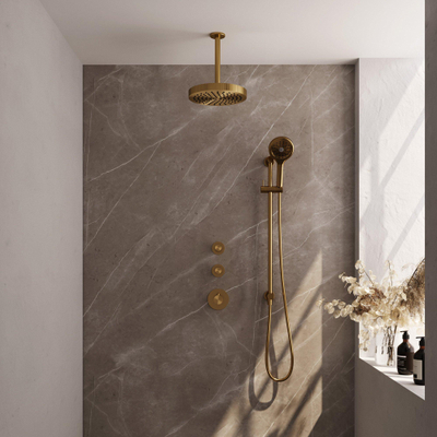 BRAUER Stripe Thermostatische Inbouw Regendouche - SET 12 - 25cm douchekop - plafondarm - 3-standen handdouche - doucheslang - geïntegreerde glijstang - goud geborsteld PVD