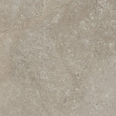 Ceralto Amaro Plank Vloertegel - 60x60cm - 9.0mm - gerectificeerd - Dove