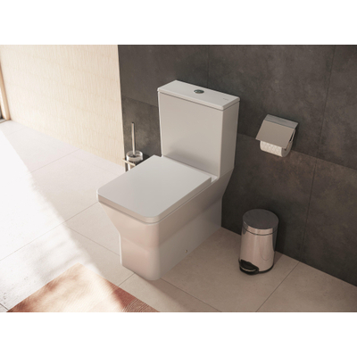 Hansgrohe Xanuia Q Wastafel/Fontein - 65x39cm - inbouw - 1 kraangat - met overloop - smartclean - wit glans
