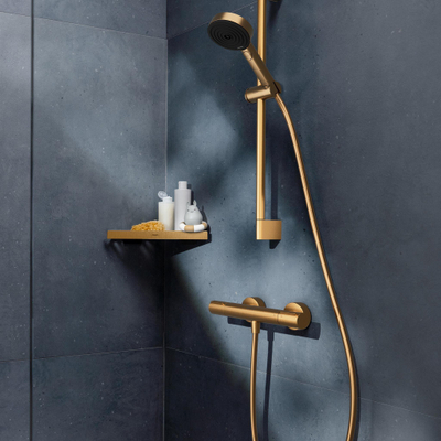 Hansgrohe Ecostat Element opbouw douchethermostaat Brushed Bronze