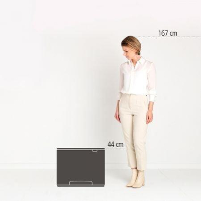 Brabantia Bo Pedaalemmer - 11+23 liter - platinum