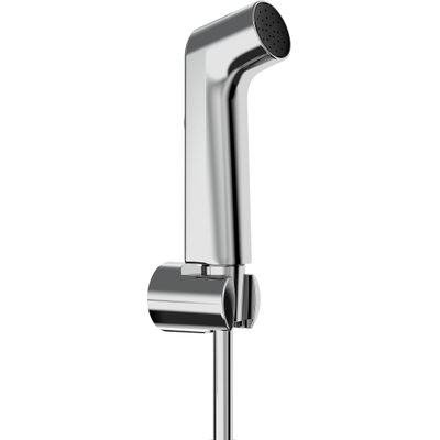 Hansgrohe Bident - handdouche - 1jet - ecosmart - met douchehouder en hogedrukslang - 125 cm - chroom