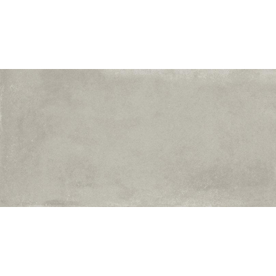 Baldocer Ceramica Grafton wand- en vloertegel - 40x80cm - Rechthoek - 10mm - gerectificeerd - Betonlook - Silver