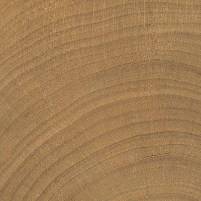 Vtwonen Woodcirkle vloer- en wandtegel - 10x10cm - 9.5mm - R10 - houtlook - mat walnoot (beige)