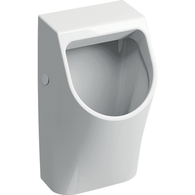 Geberit 300 urinoir 90 32,5x30cm avec arrivée arrière blanc