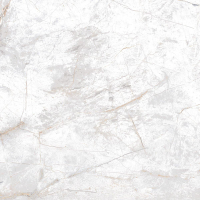 ÉCHANTILLON Edimax Astor Golden Age Carrelage de sol et de mur Rectifié Aspect Marbre Mat Blanc