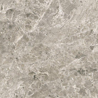 Ceralto Lazaro Marble Vloertegel - 60x60cm - 8.0mm - gerectificeerd - Grey