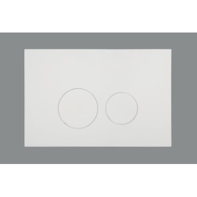 QeramiQ Push Plaque de déclenchement DualFlush pour bâti-support Geberit UP320 ABS Rond Blanc brillant