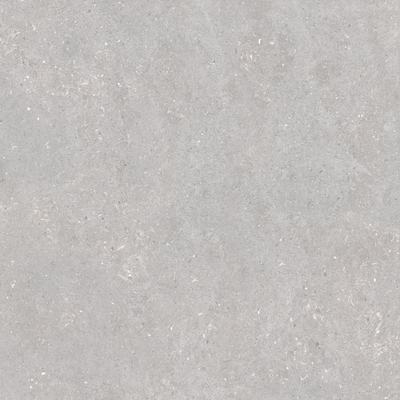 Terravito Ostino - 60x60cm - 20mm - rectifié - Gris