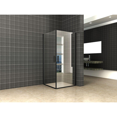 Wiesbaden Salone cabine avec 2 portes battantes 900 x 900 x 2000 x 8 mm verre clair nano/noir mat
