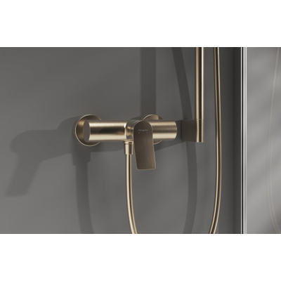 Hansgrohe Vivenis Douchemengkraan (opbouw)