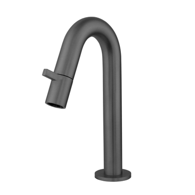 Best Design Moya Dimora toiletkraan keramisch binnenwerk 21cm Gunmetal