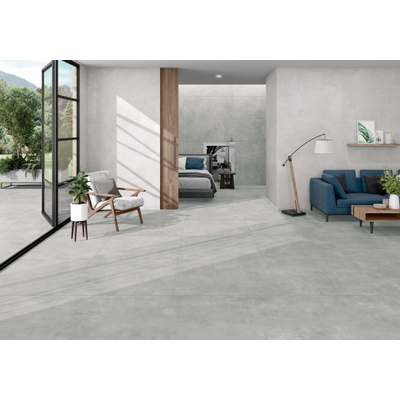 Terravito Belmiro wand- en vloertegel - 59.5x120cm - 10.0mm - Rechthoek - gerectificeerd - Betonlook - mat zilver - Grey