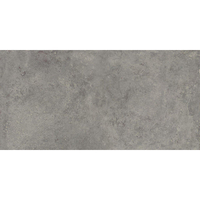ÉCHANTILLON Terravito Sigillo carreau mural et de sol - 29,6x59,5cm - 8mm - rectifié - aspect béton - Gris