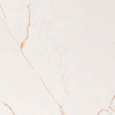 Vtwonen Tegels Classic Vloertegel - 60x60cm - 10.0mm - gerectificeerd - Caramel