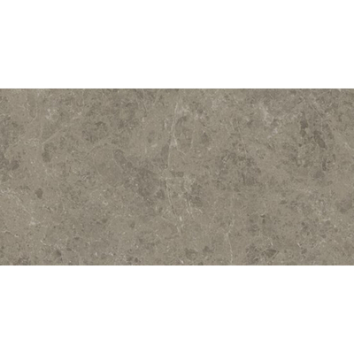 Ceralto Calisto Luxe Vloertegel - 59.5x119.5cm - 9.0mm - gerectificeerd - Grigio elegante