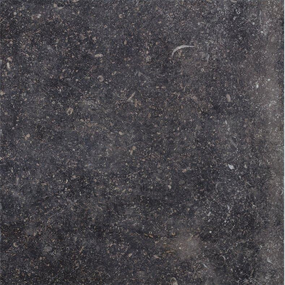 Cir Di Pietra Ardennes Carrelage de sol - 60.8x60.8cm - 10.0mm - rectifié - Nero