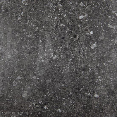 Vtwonen Carrelage de sol et de mur Composite 120x120cm 9mm rectifié R10 porcellanato Noir