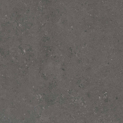 Terravito Selvico Carrelage parquet céramique mural et sol - 60x60cm - 9mm - Anthracite