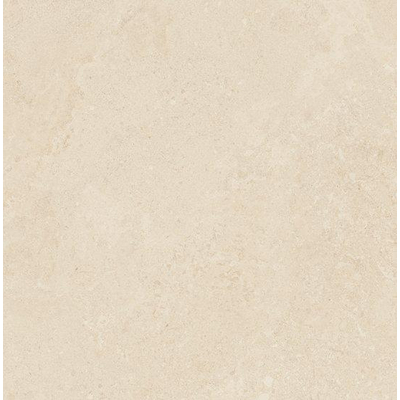 Ceralto Statuva Marble Carrelage de sol - 60x60cm - 9.0mm - rectifié - calcaire crème
