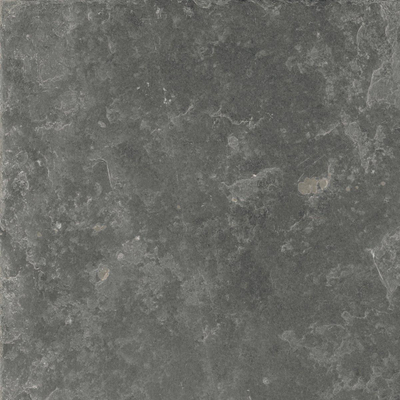 SAMPLE Ceralto Regalia Luxe 600X600 Fusion Mis.Black Nat.