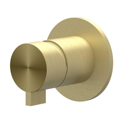 IVY Tribe mitigeur de douche encastré - monotrou - incluant corps encastré - Inox 316 - or mat brossé PVD