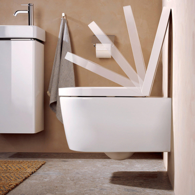 Hansgrohe EluPura S Closetcombinatie