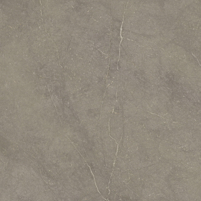 ÉCHANTILLON Terravito Rovella carrelage mural et de sol - 120x120cm - rectifié - Aspect pierre naturelle - Taupe mat (brun)