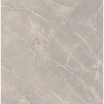 SAMPLE Ceralto Statuva Marble Carreau de sol - 60x60cm - 9.0mm - rectifié - Grey dolomia