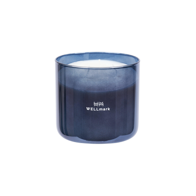 Wellmark Brave collection Bougie parfumée - grande - gris métallique