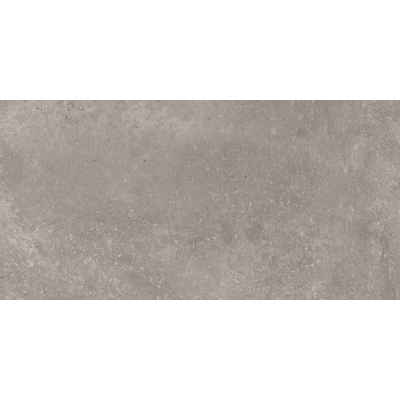 Terravito Velaro carreau mural et de sol - 30x60cm - 9mm - Rectangulaire - rectifié - effet béton - gris mat