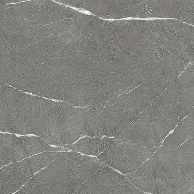 Ceralto Roccato Mineral Vloertegel - 120X120 - 6.5mm - mat - donker grijs