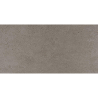 ÉCHANTILLON Ceralto Minuta Lux 300X600 Urban Dove