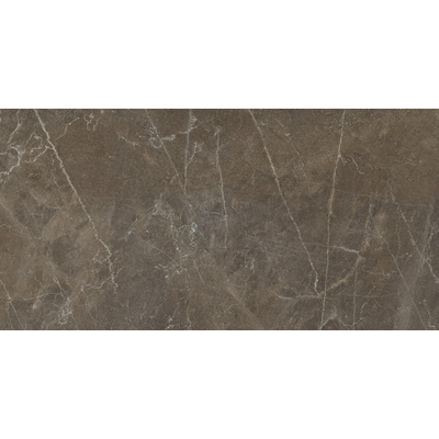 ÉCHANTILLON Terravito Legante Carrelage de sol et de mur - 60x120cm - rectifié - poli Brun