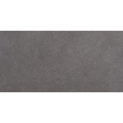 Metropol loussiana carreau de sol 30x60cm 9.6 avec anti gel rectifié grafito matt