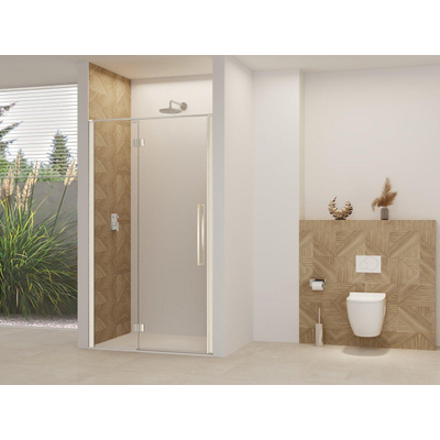 Van Rijn Products ST07 Deur vast deel - 108x200cm - helder glas - stabilisatiestang - RVS Geborsteld