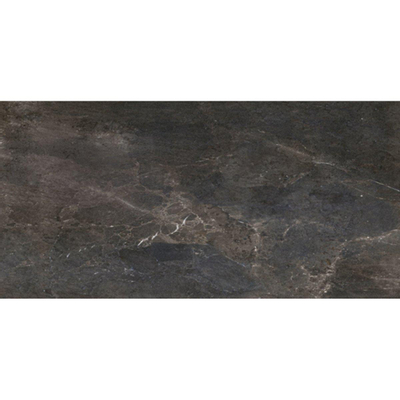 Porcelaingres Roy. stone carreau de sol 60x120cm 8mm résistant au gel rectifié noir diamant mat