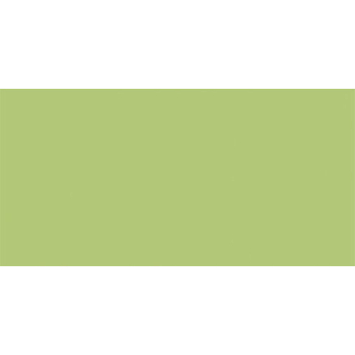 Rako Color One Carrelage mural - 19.8x39.8cm - 7.0mm - vert clair
