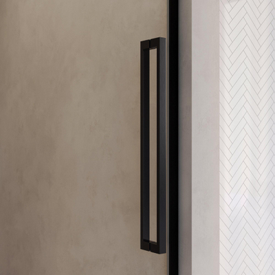 BRAUER Cosmic Nisdeur - 90x200 - draaiend - helder - glas omkeerbaar incl. glascoating - geborsteld gunmetal PVD