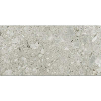 Ceralto Valerio Mini Carrelage de sol - 59.7x119.7cm - 9.0mm - rectifié - Ceppo di gre