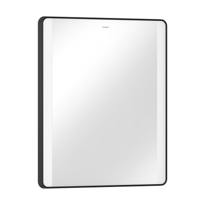 Hansgrohe Xarita Lite Q Miroir - 60x70cm - éclairage led - Vertical - interrupteur mural - Noir mat