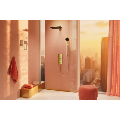Hansgrohe Raindance alive Handdouche 125 - 3jet - gepolijst goud (goud)