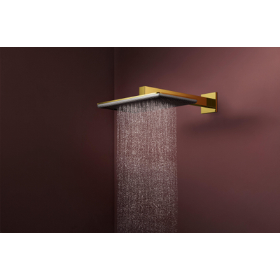 Hansgrohe Raindance alive pomme de douche 210/340 2 jets bras mural poli or optique (or)