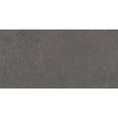 Terravito Selvico Carrelage parquet céramique mural et sol - 60x120cm - 9mm - Anthracite