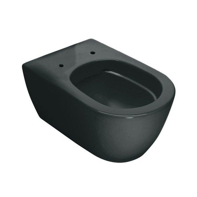 Royal Plaza Primo Toiletset - 35x54cm - hangend - spoelrandloos - diepspoel - met zitting - softclose - quick release - mat zwart