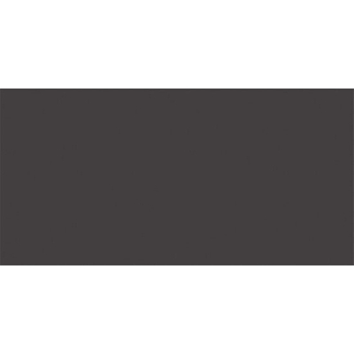 Rako Color One Wandtegel - 19.8x39.8cm - 7.0mm - Anthracite grey