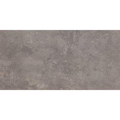 Beste Koop Phorma Vloertegel - 30x60cm - 8.8mm - gerectificeerd - Musk